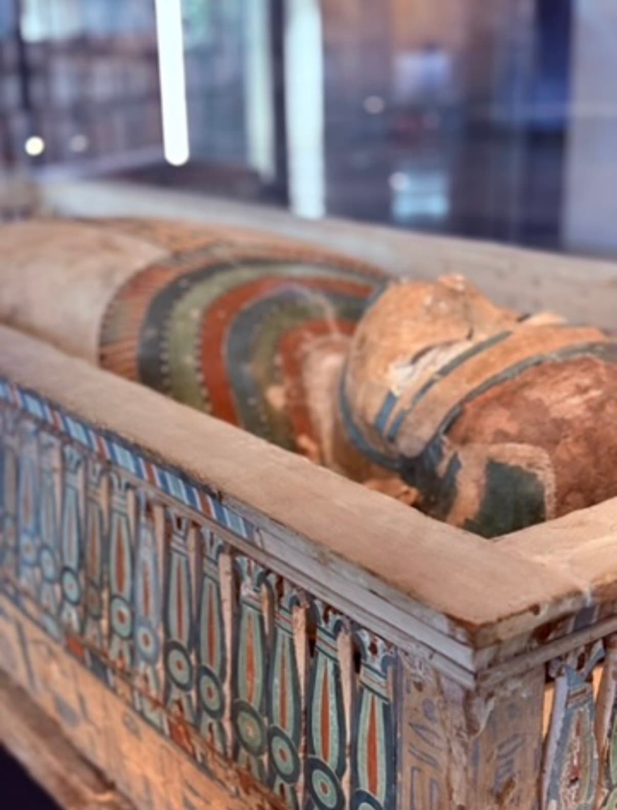 Ancient Egyptian painted sarcophagus with mummy on display