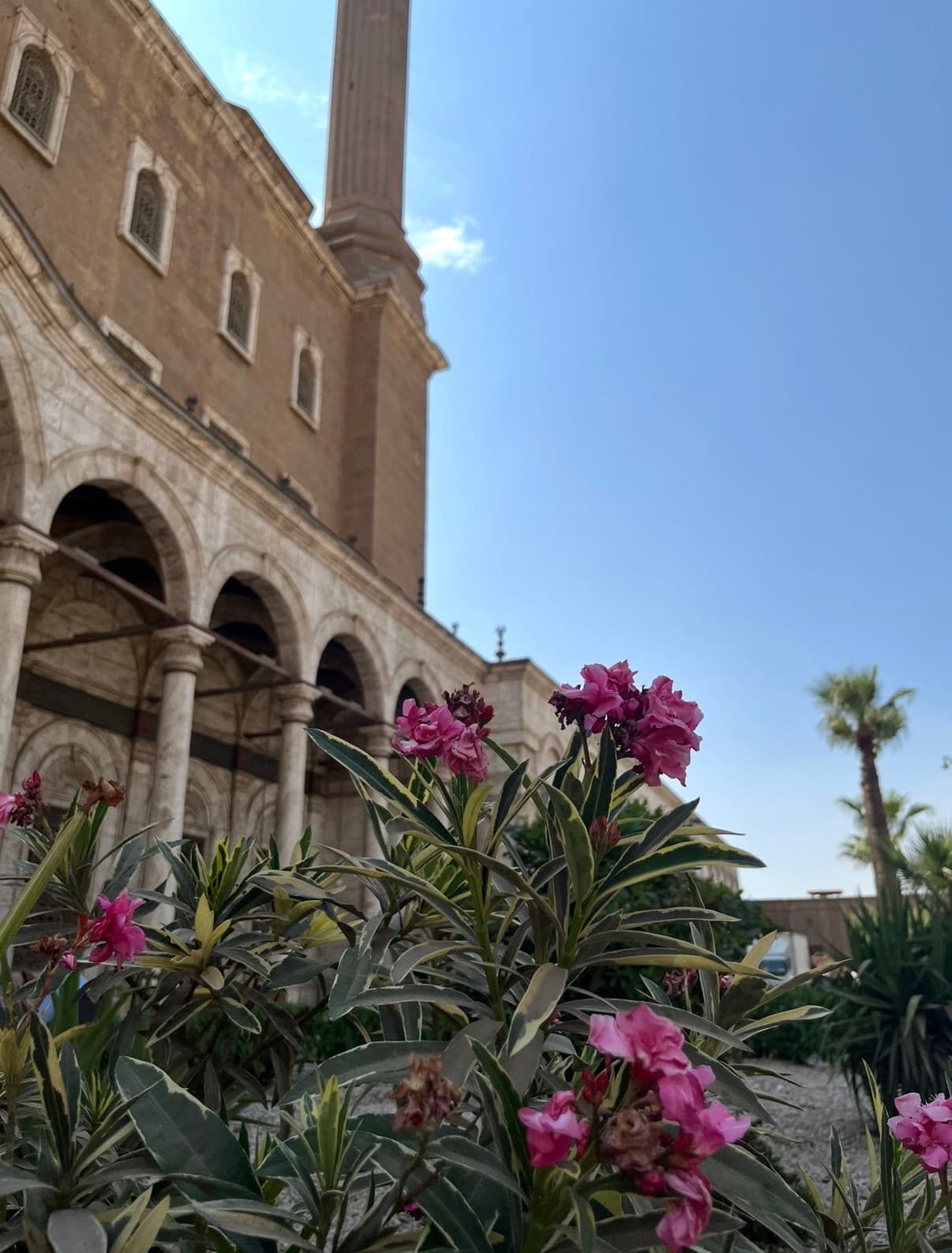 Mosque exterior with pink flowers in Islamic Cairo