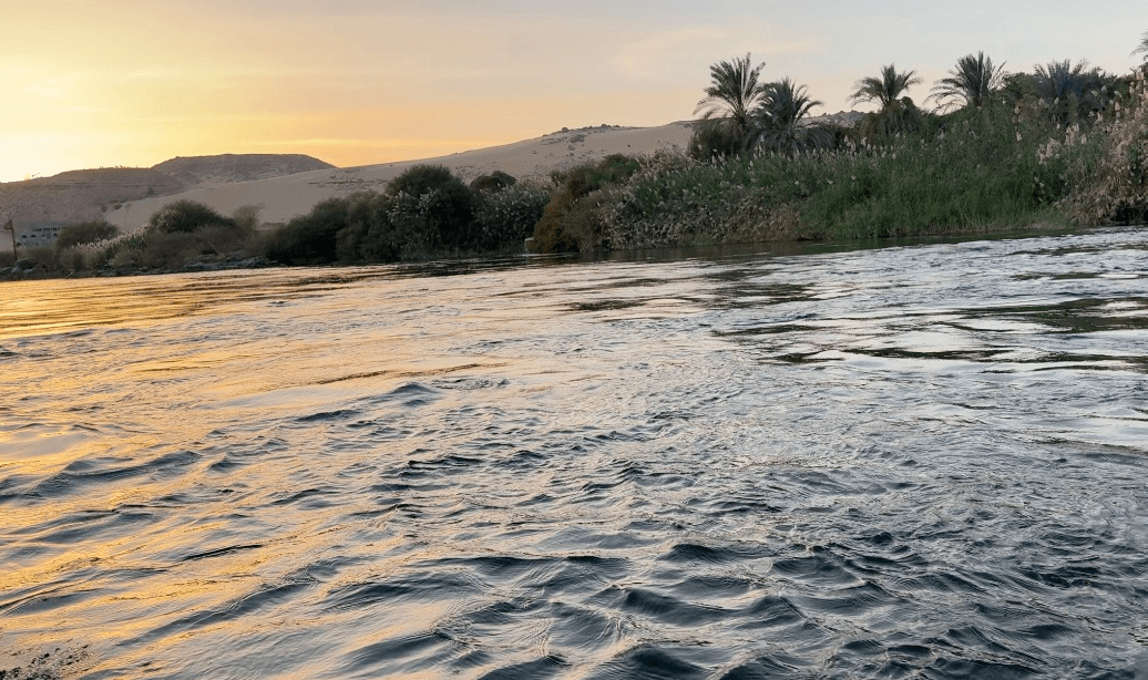 Golden sunset views from a Nile river cruise showing palm trees and desert landscape along the riverbank